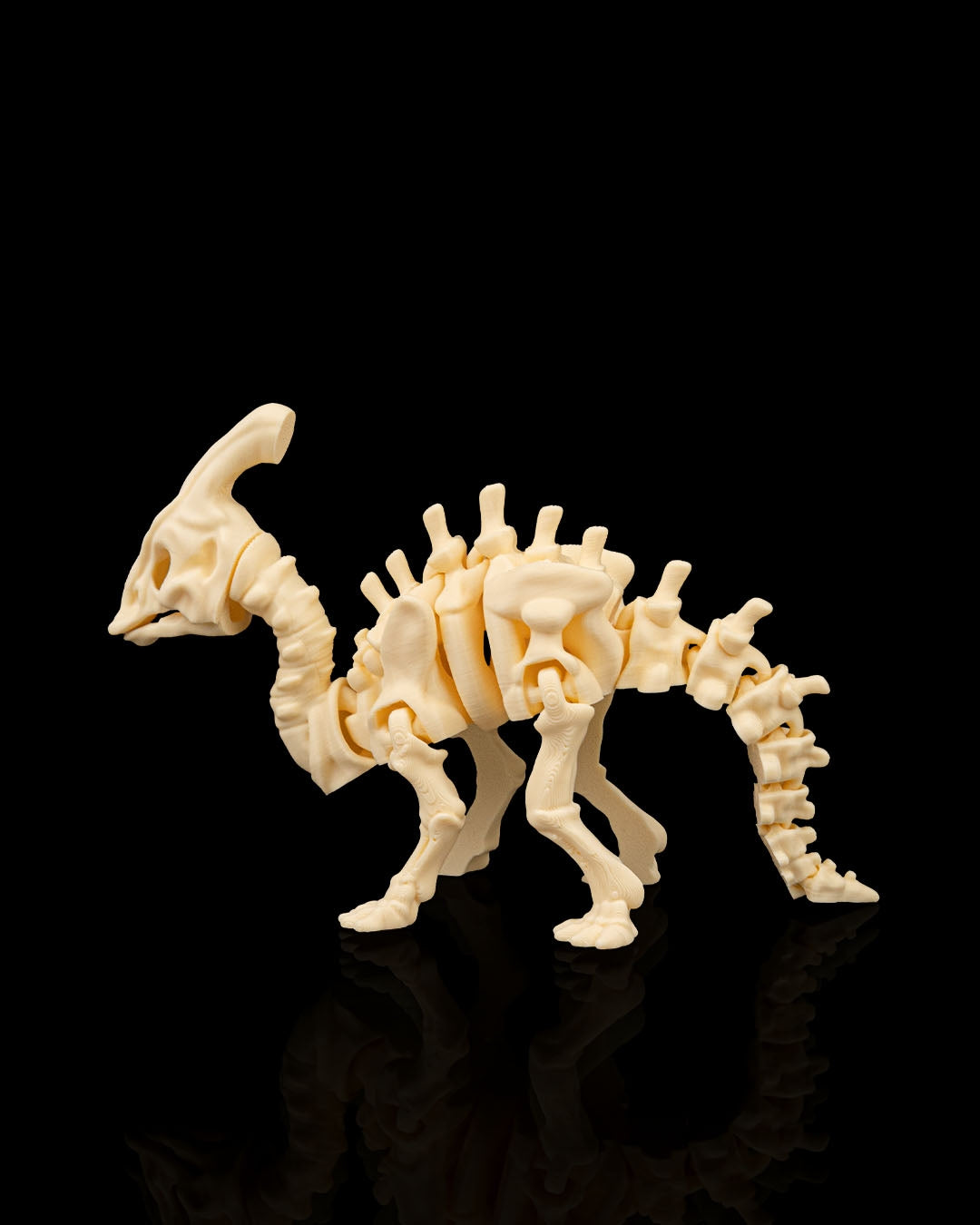 Skeleton Parasaurolophus