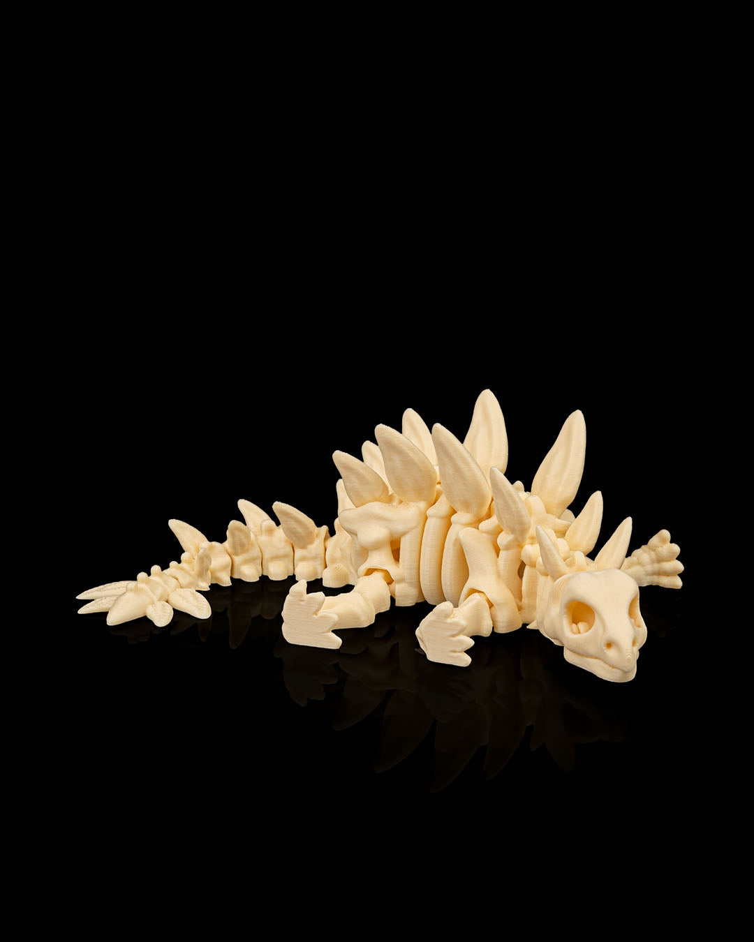 Skeleton Stegosaurus