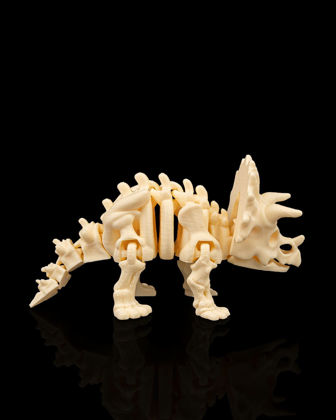 Skeleton Triceratops