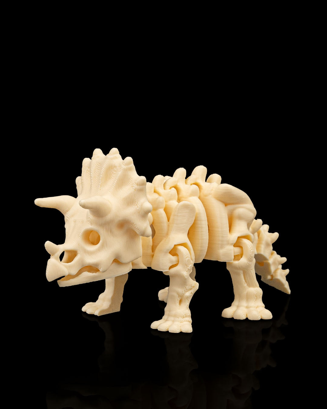 Skeleton Triceratops