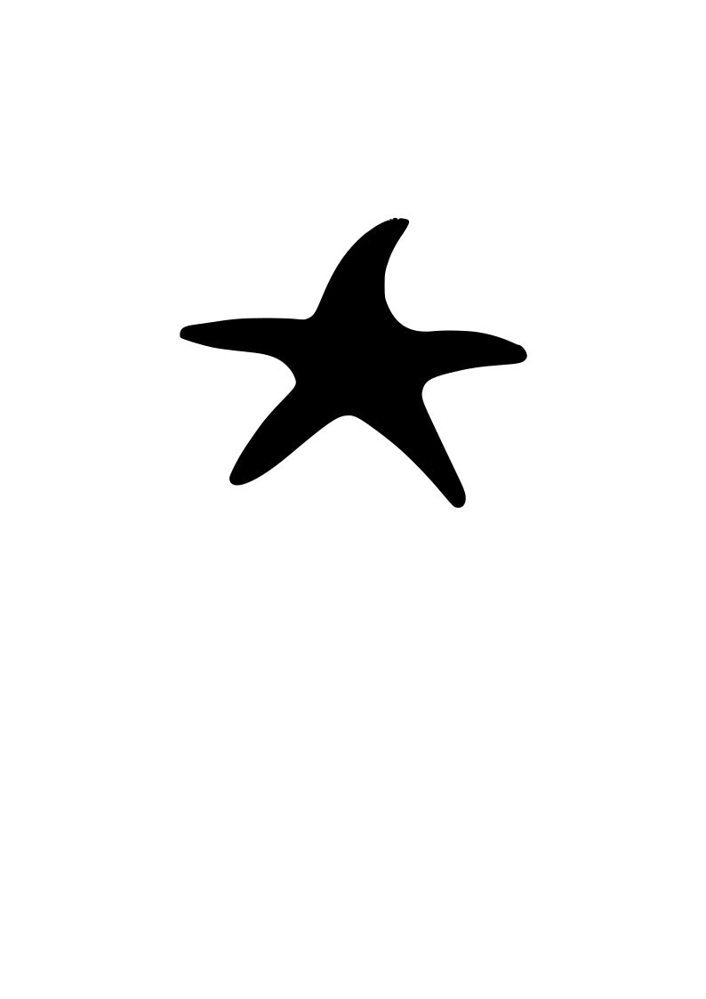 Star Fish 1 pre-cut glass product